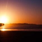 hizli hava kargo en hizli teslimat suresi