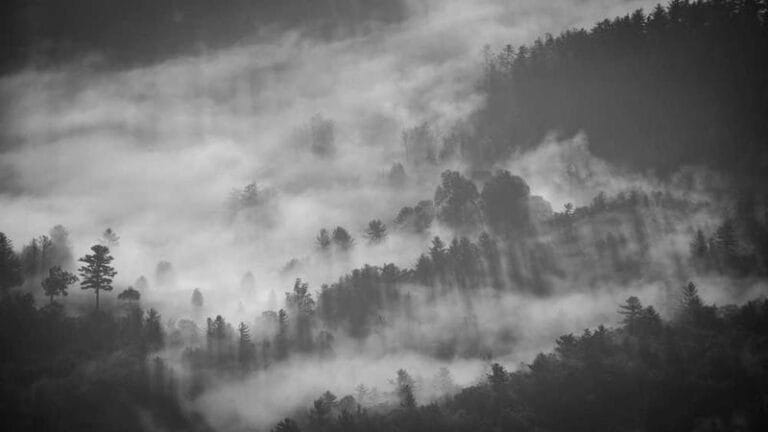 ingiltere kargo teslimat suresi ne kadar