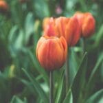 kargo tasimaciligi maliyetleri 2