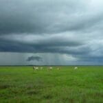 kucuk kargo ucakla gonderimde en iyi secenekler