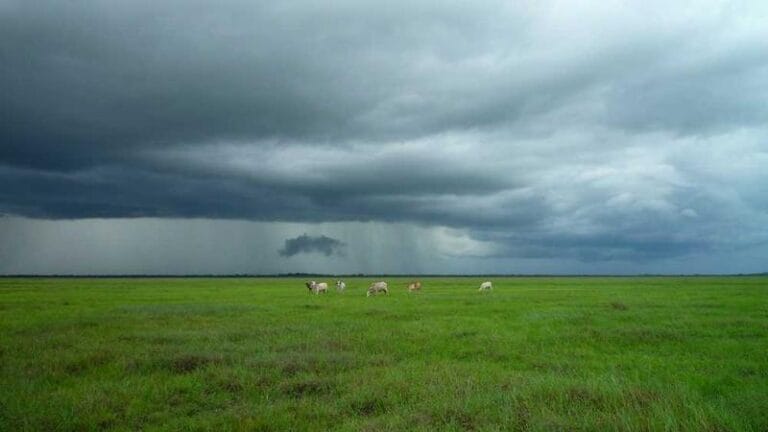 kucuk kargo ucakla gonderimde en iyi secenekler