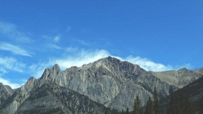 macaristan hediye gonderimi