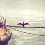 makao cin dosya gonderimi