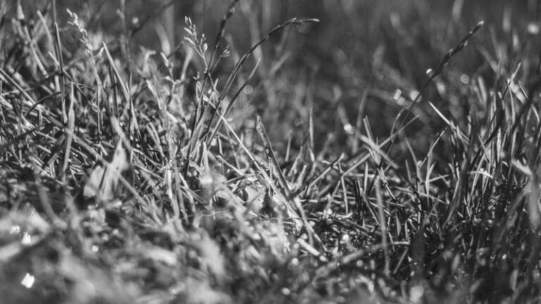 reunion adasina koli gonderimi