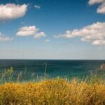 thy kargo hizli gonderi secenekleri ile zaman kazanin