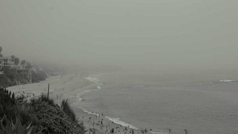 thy kargo ile esya gonderimi kolay ve guvenli