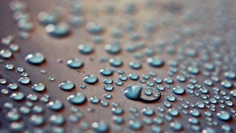 thy kargo musteri hizmetleri hizli ve guvenilir destek