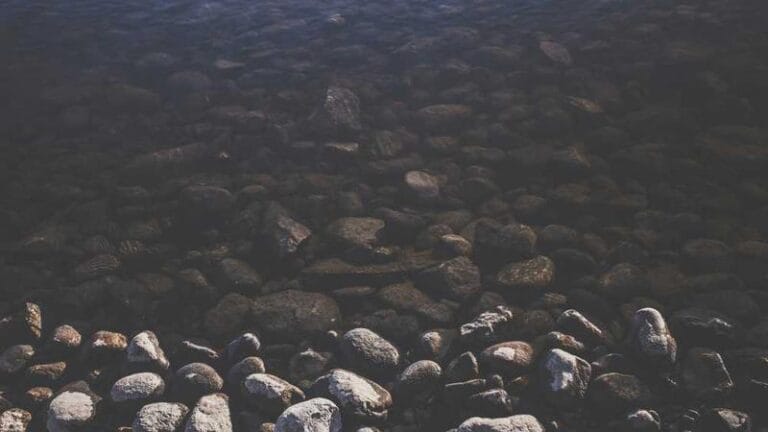 thy kargo ucakla koli gonderiminiz kolaylassin