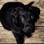 ucak kargo rezervasyonu 5