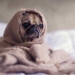 ucak kargo sigortasi maliyeti en uygun fiyatlar