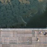 uluslararasi tasimacilik