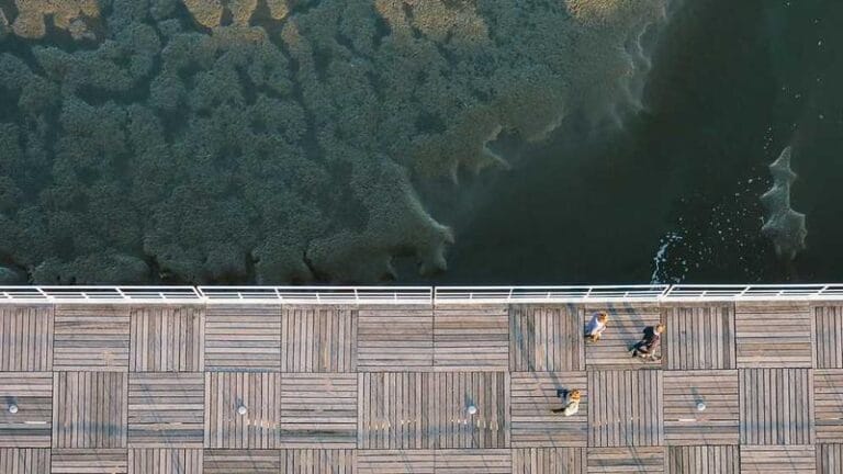 uluslararasi tasimacilik