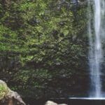 virgin adalari kargo