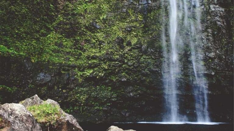 virgin adalari kargo