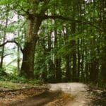 yuk tasimaciligi rehberi