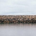 yurtdisi hediye gonderimi kurallar ve ipuclari