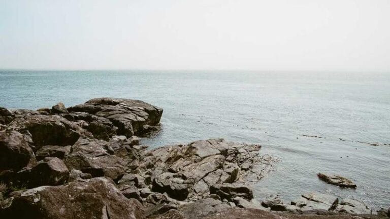 yurtdisi kargo adrese teslim hizmetiyle hizli guvenli