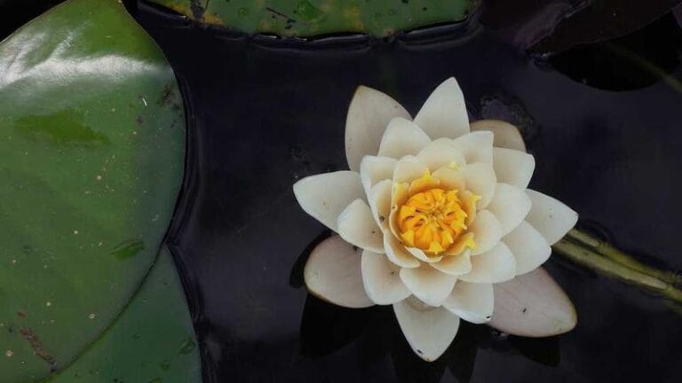 yurtdisi kargo en iyi kampanya firsatlari