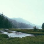 yurtdisi kargo firsatlari guncel kampanyalar marka adi