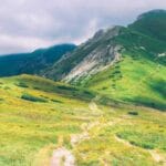 yurtdisi kargo fiyat hesaplama kolay ve hizli