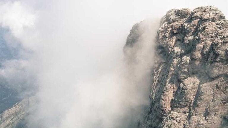 yurtdisi kargo koli gonderiminde ustalik