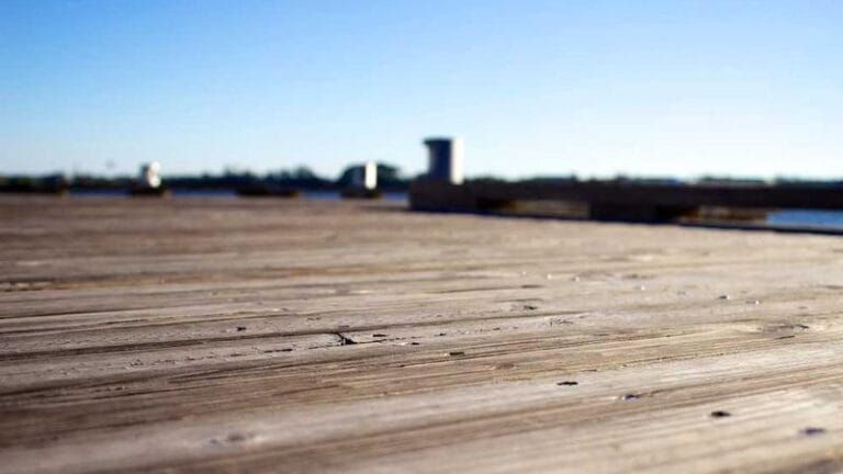 almanyadan turkiyeye kargo fiyat rehberi