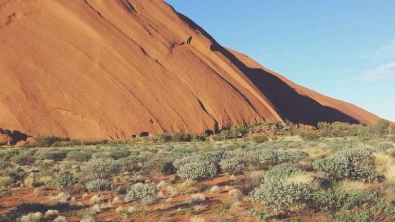 amerika ucak kargo indirimli gonderi secenekleri