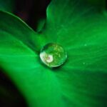 cezayir tnt kargo hizli ve guvenilir gonderiler