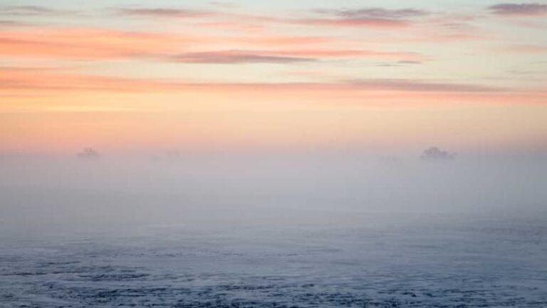 dhl kargo almanyadan kac gunde gelir