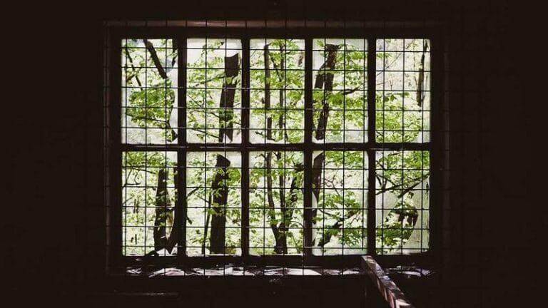 dhl kargo hizli ve guvenilir teslimat