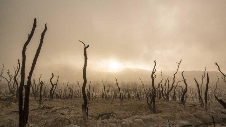 ermenistan ups kargo hizli ve guvenilir uluslararasi gonderi