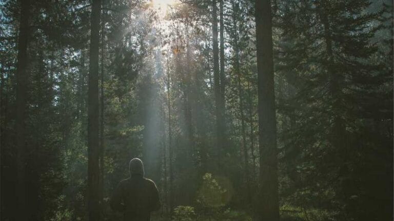 hirvatistan ptt kargo ucretler ve bilgiler