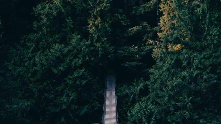 hizli ve guvenli sudan dosya gonderimi