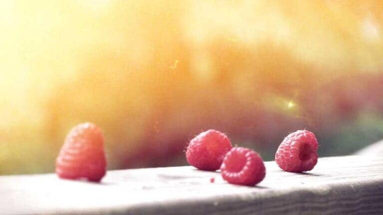 ingiltereye hizli kargo en hizli secenekler