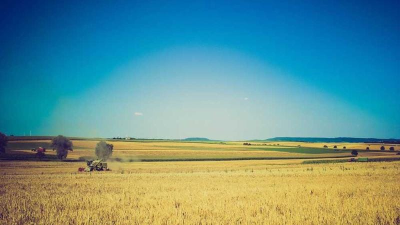 Kıbrıs Kargo: En Uygun Fiyatlar & Hızlı Teslimat