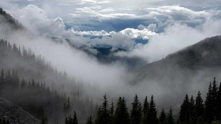 maltaya konteyner tasimaciligi hizli guvenilir