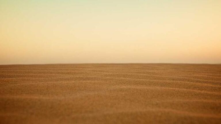 papua yeni gine kargo tam rehberiniz