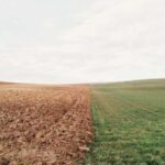 ruandaya guvenilir kargo hizli ekonomik