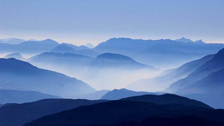 tnt kargo takip hizli ve kolay kargo takibi