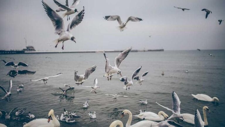 ups kargo destek hizli ve kolay musteri hizmetleri