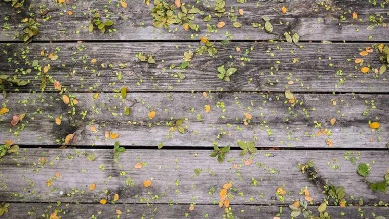 yurtdisi kargo ne kadar surede gelir hizli teslimat