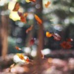 banglades ekspress kargo hizli guvenilir ve kapsamli rehberiniz