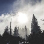 faroe adalari yurtdisi kargo kapsamli rehber