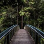 ispanya yurtdisi kargo kapsamli ve guvenilir rehberiniz