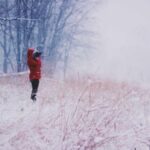 jamaika kargo karayiplerden turkiyeye guvenilir lojistik rehberi