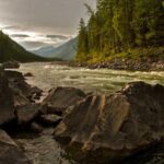 kapsamli dhl yurtdisi kargo rehberi gonderimden teslimata