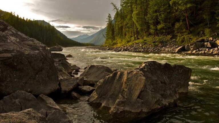 kapsamli dhl yurtdisi kargo rehberi gonderimden teslimata