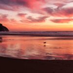 kapsamli rehber martinik numune gonderimi surecleri