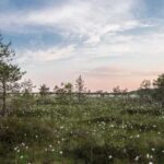 kapsamli rehber sorunsuz sili paket gonderimi