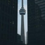 kapsamli rehber sorunsuz yeni zelanda kargo sureci